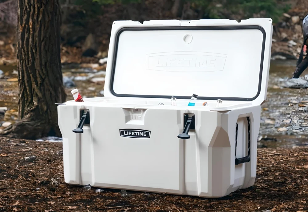 cooler box for ice cream