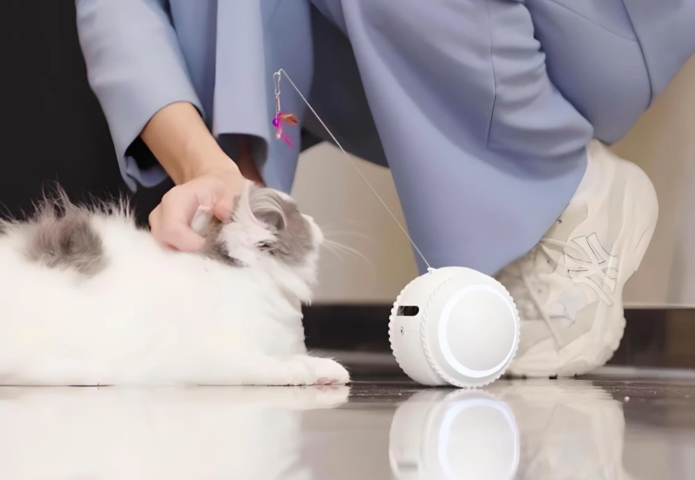 robot camera for pets