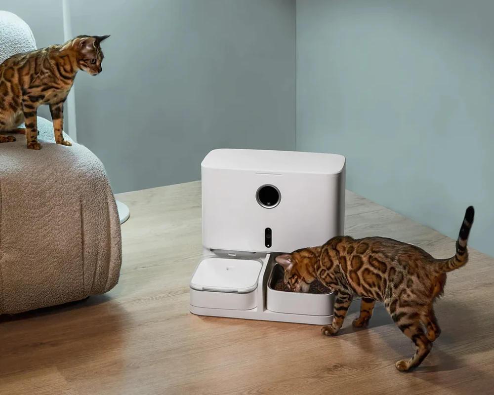 animal planet automatic pet feeder